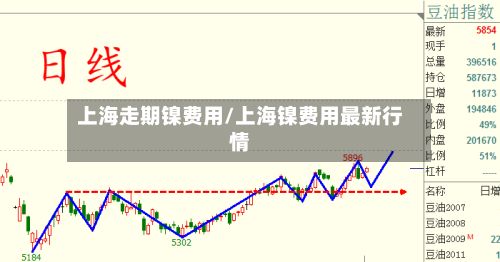 上海走期镍费用/上海镍费用最新行情