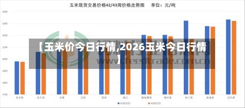 【玉米价今日行情,2026玉米今日行情】-第3张图片