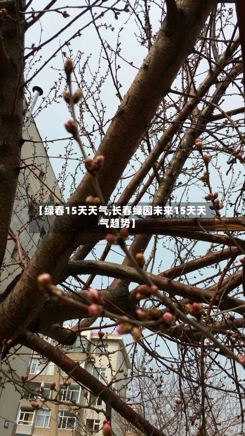 【绿春15天天气,长春绿园未来15天天气趋势】
