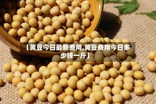 【黄豆今日最新费用,黄豆费用今日多少钱一斤】