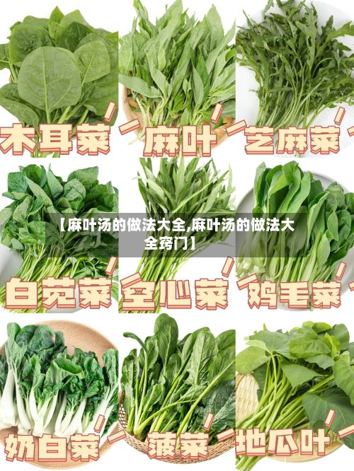 【麻叶汤的做法大全,麻叶汤的做法大全窍门】