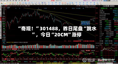 “奇观！	”301488，昨日尾盘“跳水”，今日“20CM”涨停-第2张图片