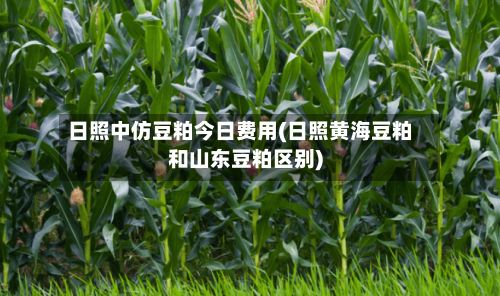 日照中仿豆粕今日费用(日照黄海豆粕和山东豆粕区别)
