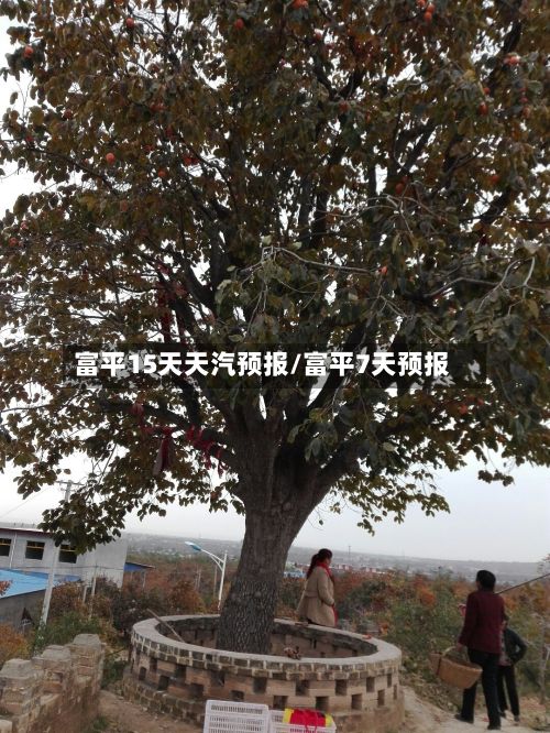 富平15天天汽预报/富平7天预报