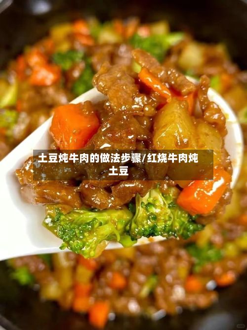 土豆炖牛肉的做法步骤/红烧牛肉炖土豆-第3张图片