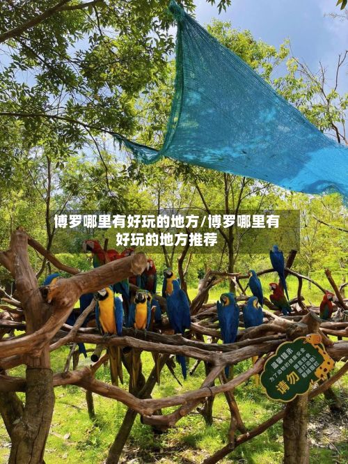 博罗哪里有好玩的地方/博罗哪里有好玩的地方推荐-第2张图片