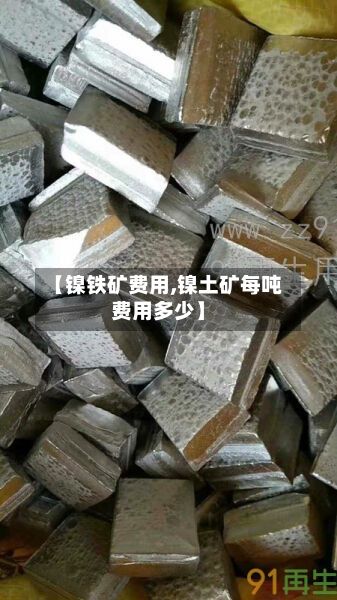 【镍铁矿费用,镍土矿每吨费用多少】
