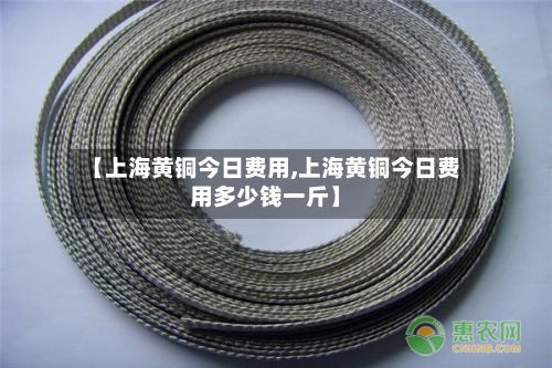 【上海黄铜今日费用,上海黄铜今日费用多少钱一斤】-第2张图片