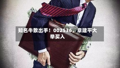 知名牛散出手！002536，章建平大举买入-第2张图片