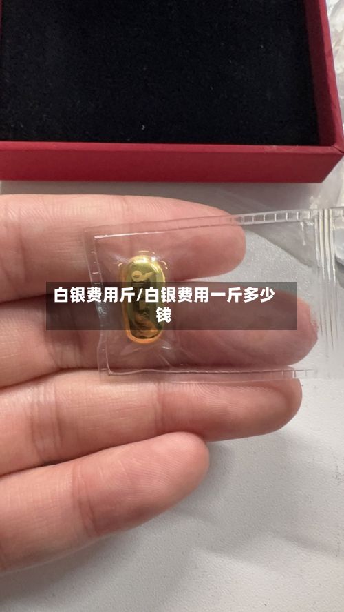 白银费用斤/白银费用一斤多少钱