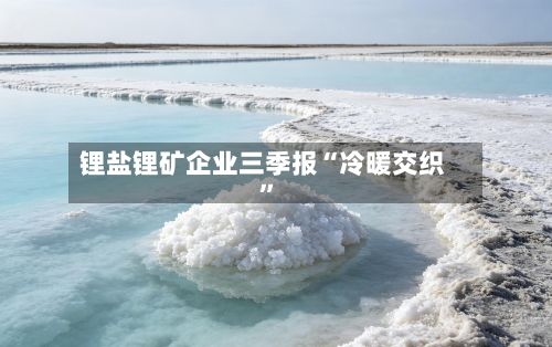 锂盐锂矿企业三季报“冷暖交织”