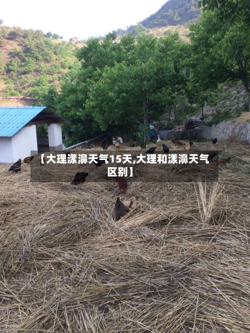 【大理漾濞天气15天,大理和漾濞天气区别】-第2张图片