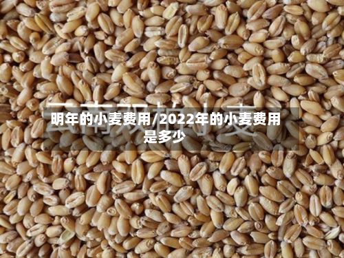 明年的小麦费用/2022年的小麦费用是多少-第2张图片