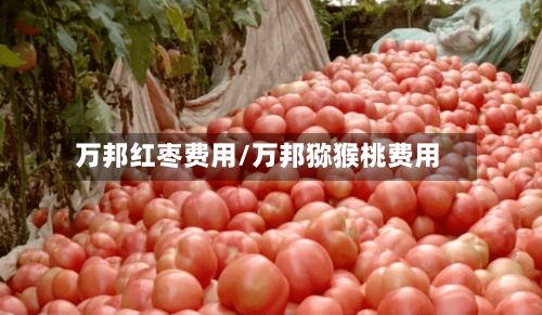 万邦红枣费用/万邦猕猴桃费用
