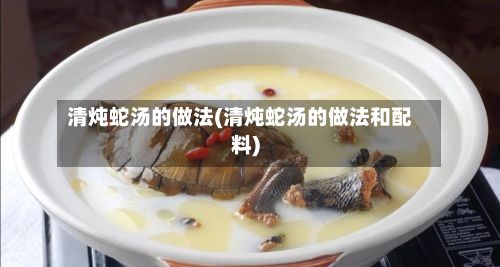 清炖蛇汤的做法(清炖蛇汤的做法和配料)