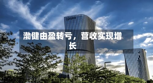 渤健由盈转亏，营收实现增长-第3张图片