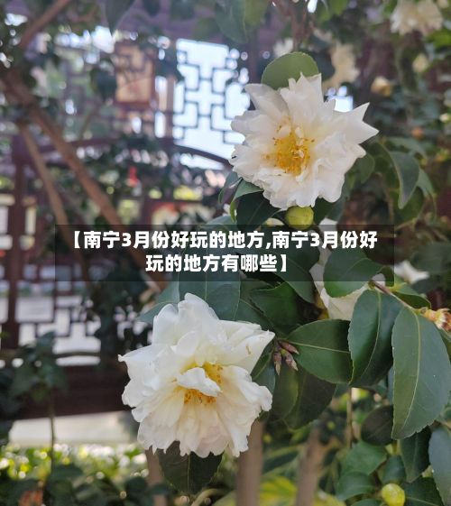 【南宁3月份好玩的地方,南宁3月份好玩的地方有哪些】-第2张图片