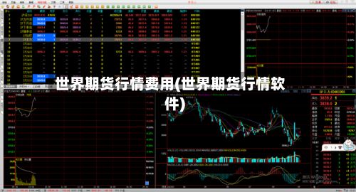 世界期货行情费用(世界期货行情软件)-第2张图片