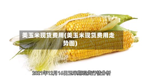 美玉米现货费用(美玉米现货费用走势图)