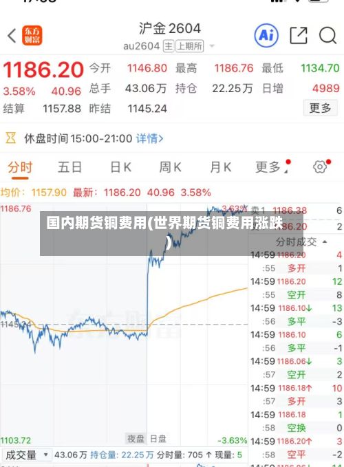 国内期货铜费用(世界期货铜费用涨跌)