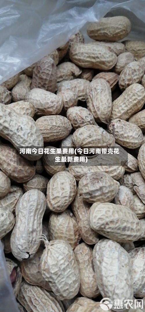 河南今日花生果费用(今日河南带壳花生最新费用)