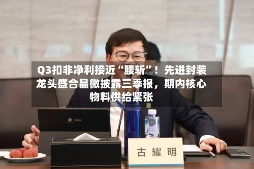 Q3扣非净利接近“腰斩	”！先进封装龙头盛合晶微披露三季报	，期内核心物料供给紧张-第2张图片
