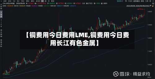 【铜费用今日费用LME,铜费用今日费用长江有色金属】