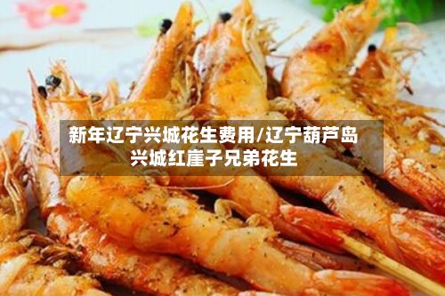 新年辽宁兴城花生费用/辽宁葫芦岛兴城红崖子兄弟花生