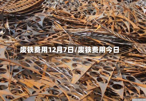废铁费用12月7日/废铁费用今日