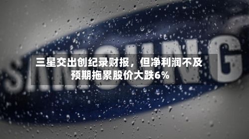 三星交出创纪录财报	，但净利润不及预期拖累股价大跌6%-第1张图片