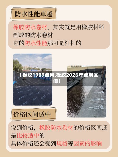 【橡胶1909费用,橡胶2026年费用区间】