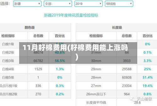 11月籽棉费用(籽棉费用能上涨吗)-第2张图片