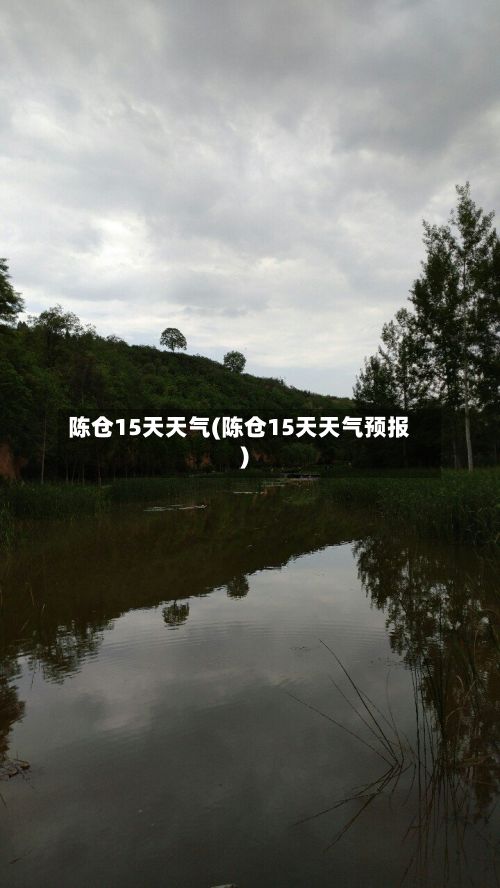 陈仓15天天气(陈仓15天天气预报)