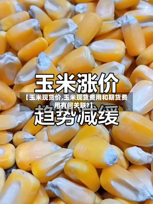 【玉米现货价,玉米现货费用和期货费用有何关联?】-第2张图片