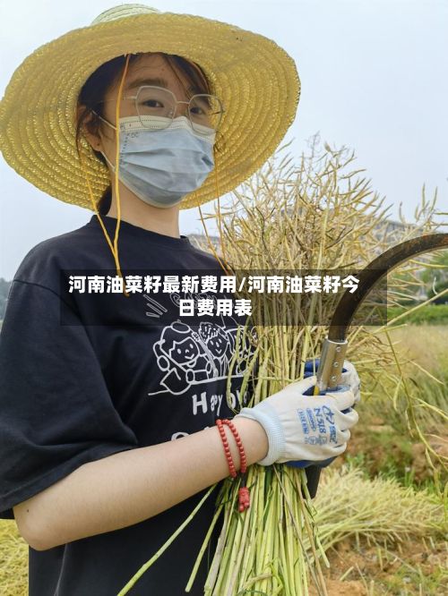 河南油菜籽最新费用/河南油菜籽今日费用表-第3张图片