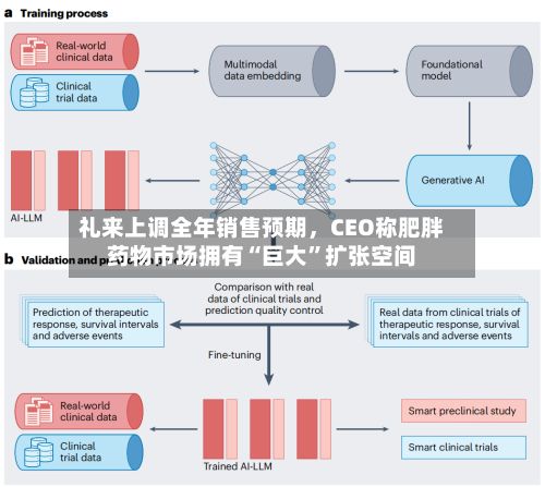 礼来上调全年销售预期，CEO称肥胖药物市场拥有“巨大”扩张空间-第2张图片