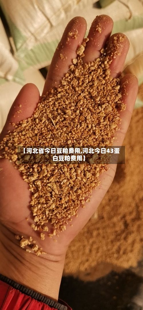 【河北省今日豆粕费用,河北今日43蛋白豆粕费用】