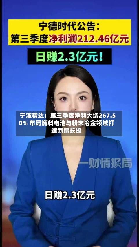 宁波精达:第三季度净利大增267.50% 布局燃料电池与粉末冶金领域打造新增长极-第2张图片
