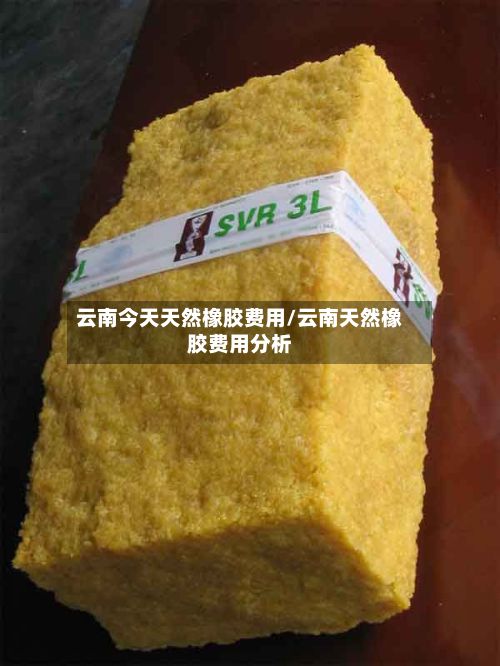 云南今天天然橡胶费用/云南天然橡胶费用分析-第3张图片