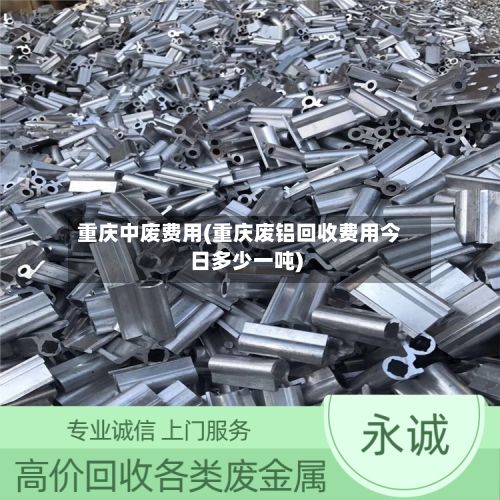 重庆中废费用(重庆废铝回收费用今日多少一吨)