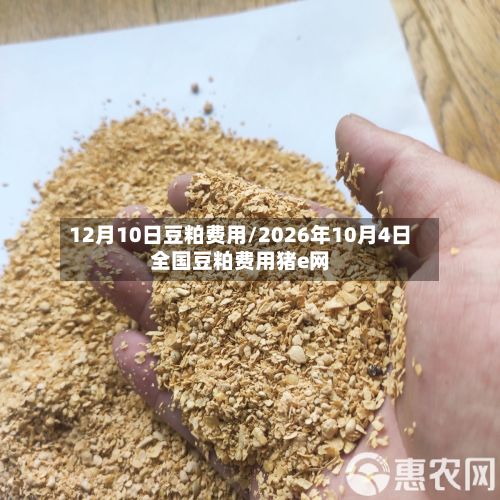 12月10日豆粕费用/2026年10月4日全国豆粕费用猪e网
