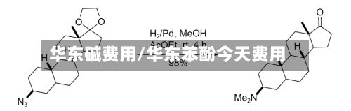 华东碱费用/华东苯酚今天费用-第2张图片