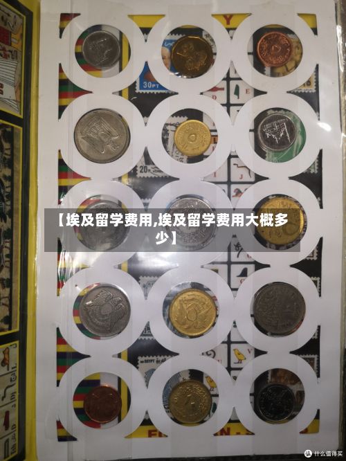 【埃及留学费用,埃及留学费用大概多少】