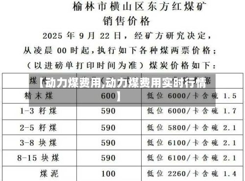 【动力煤费用,动力煤费用实时行情】-第2张图片