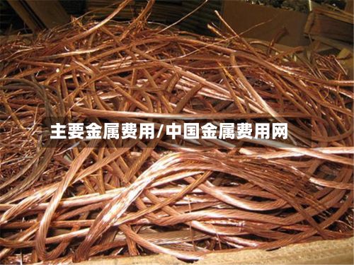 主要金属费用/中国金属费用网