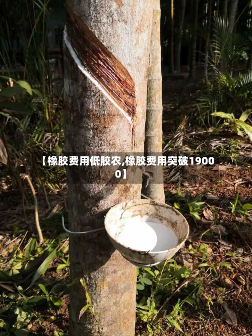 【橡胶费用低胶农,橡胶费用突破19000】