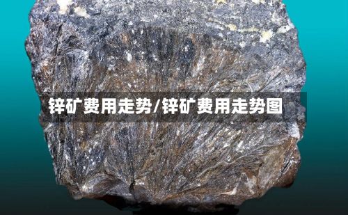 锌矿费用走势/锌矿费用走势图