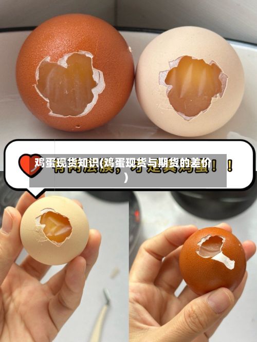 鸡蛋现货知识(鸡蛋现货与期货的差价)-第2张图片