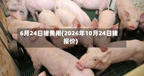 6月24日猪费用(2026年10月24日猪报价)