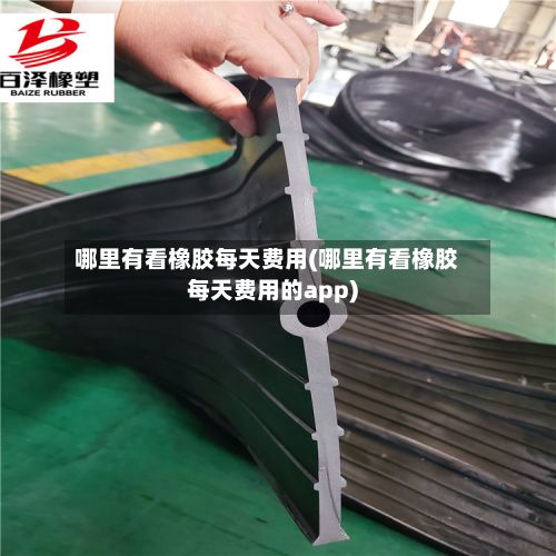 哪里有看橡胶每天费用(哪里有看橡胶每天费用的app)